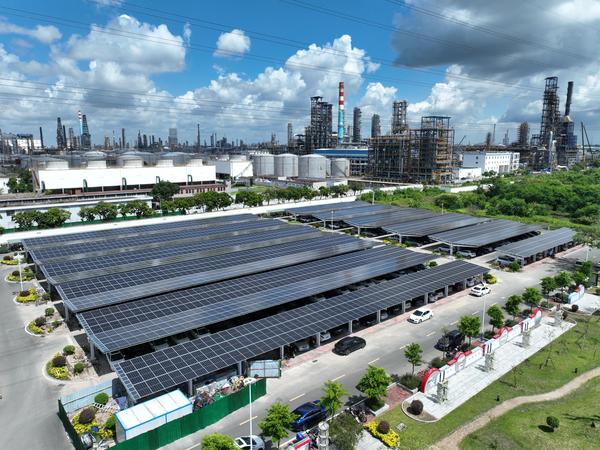 1774919795683455.jpg 6.jpg